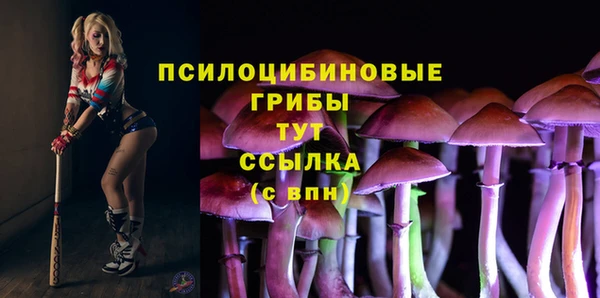 мефедрон Зеленодольск