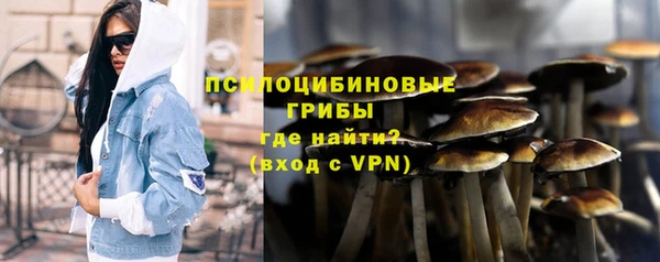 амф Ступино