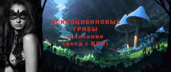 дживик Зеленокумск