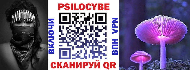 Псилоцибиновые грибы Psilocybe  Теберда 